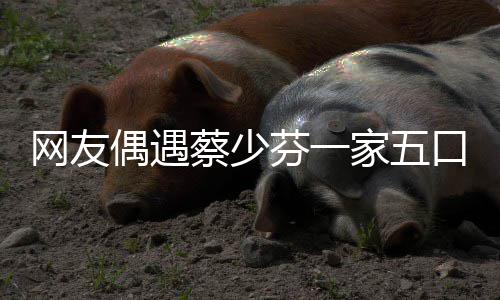 扮鬼家五张晋儿子芬一口 开心脸逗网友蔡少偶遇